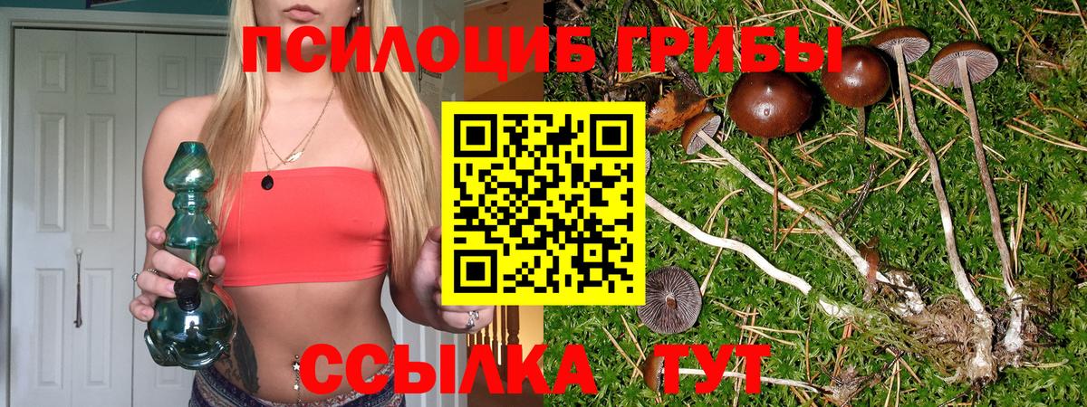 Заводоуковск  Псилоцибиновые грибы прущие грибы  Вход с VPN 